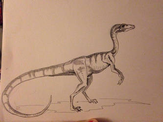 Inktober Day #14 - Procompsognathus
