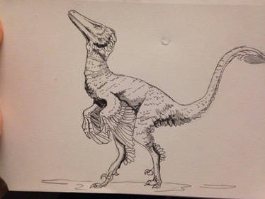 Day #18 Inktober - Troodon