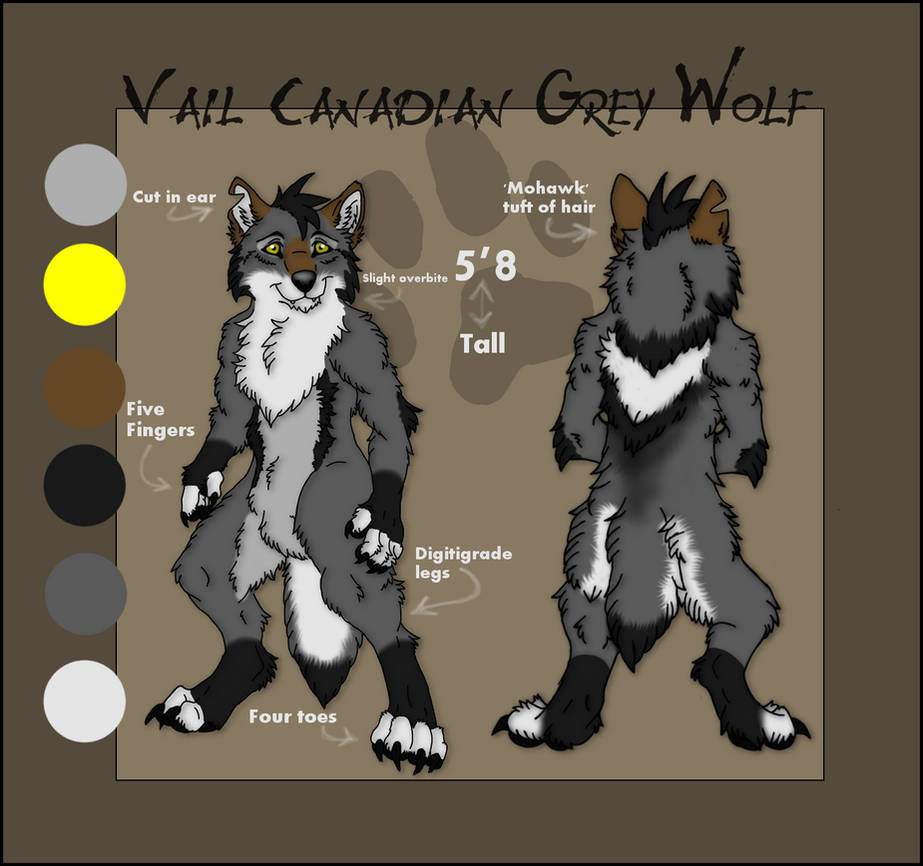 Vail reference sheet 2014