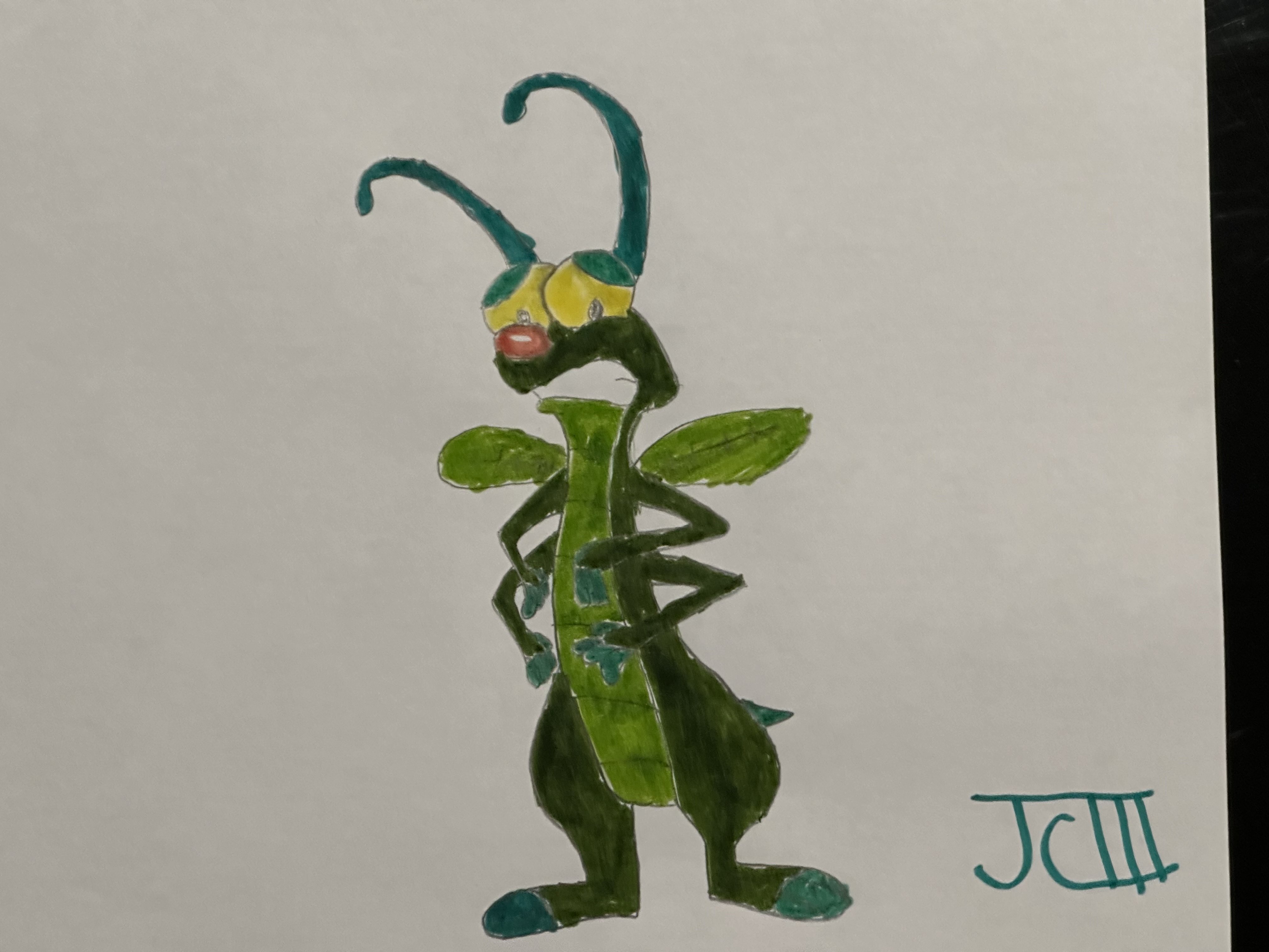 Beetle Timon