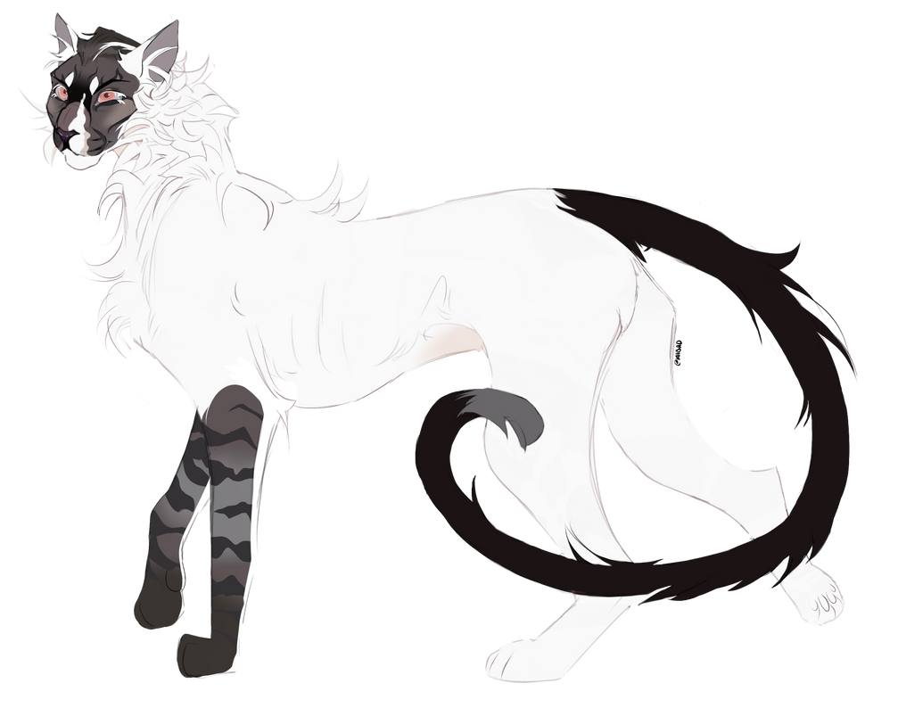 Killrs Art Shop Lioden killrs-art-shop-lioden