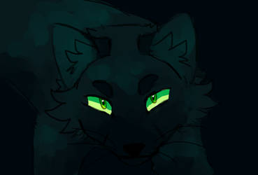 Hollyleaf