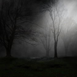 Premade Background 13
