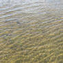 Water Texture 02