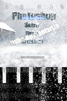 Snow Drop Photoshop SET II 2012