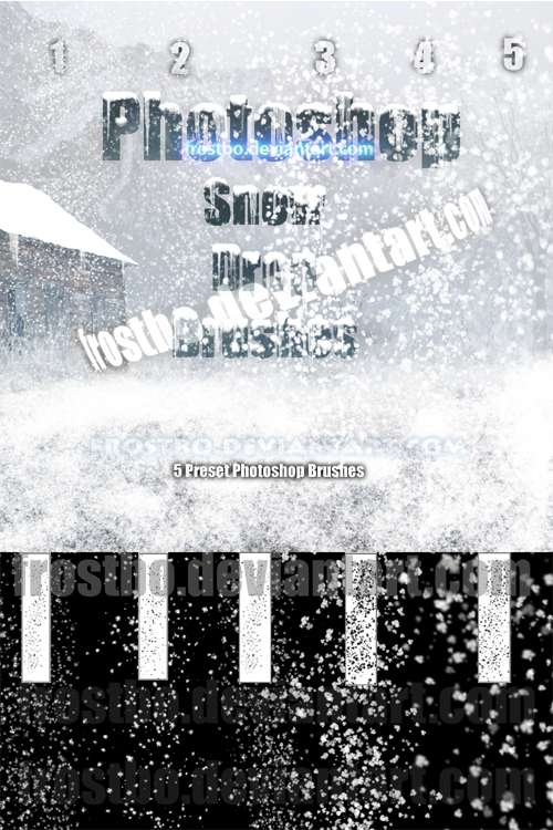 Snow Drop Photoshop SET II 2012