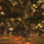 Premade Background 23 UNDERWATER