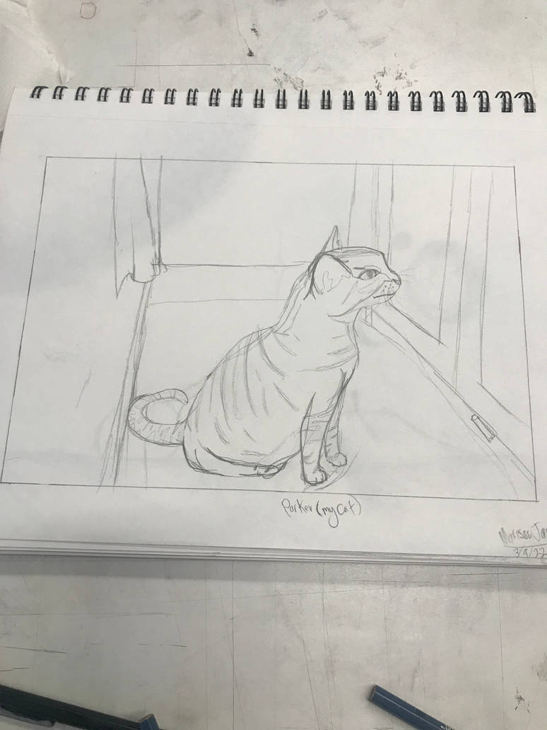 Cat (Rough draft) by Galaxy-hub on DeviantArt