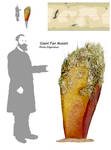 Giant Fan Mussel by mightycucumber