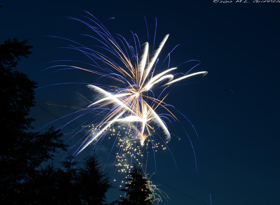 Fireworks 04