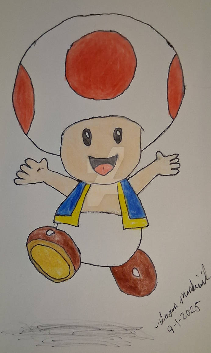 Toad Mario Rope Deviantart Toad from Super Mario Bros (Request) by KillianWolf1138 on DeviantArt