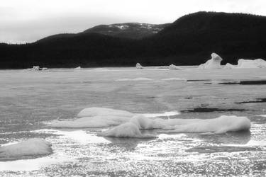 Mendenhall Ice Caps