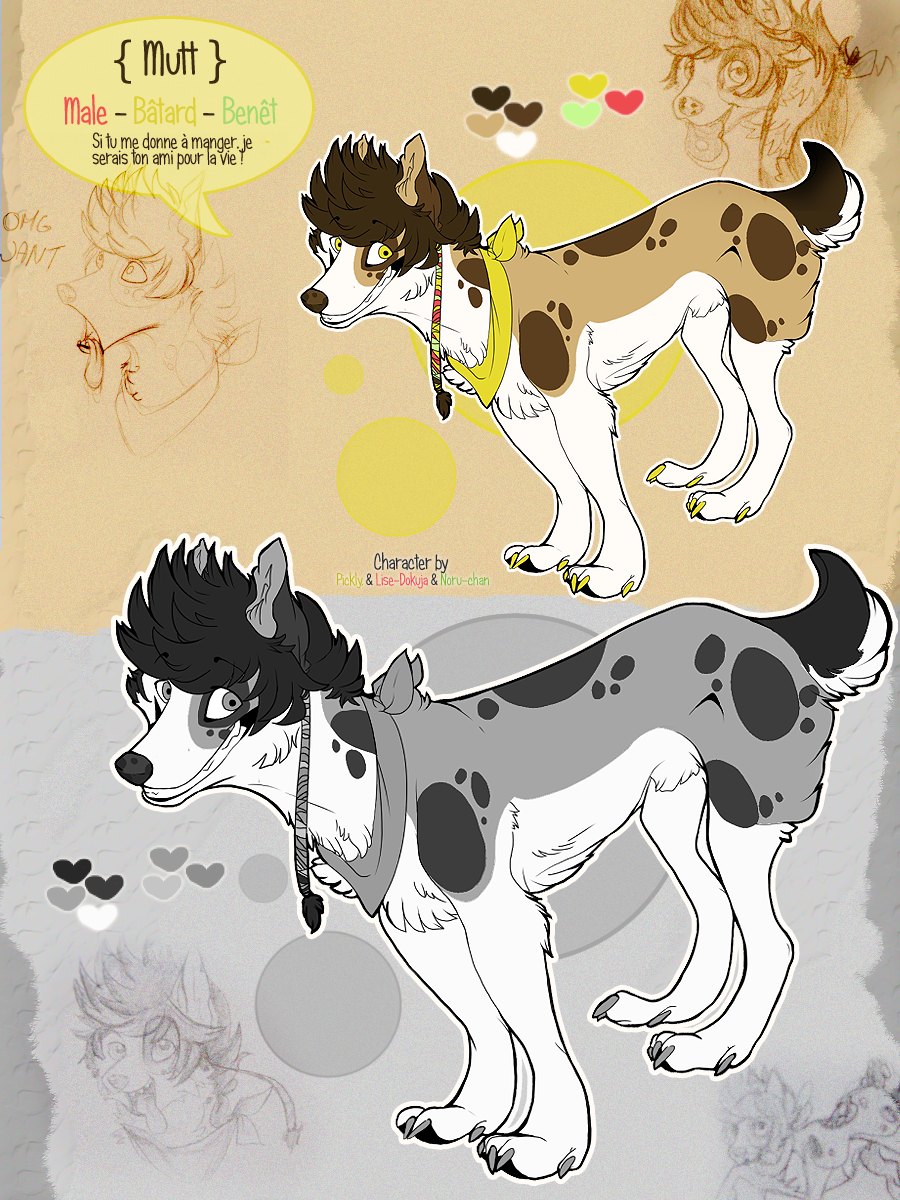 .: ERLANDYA: Mutt Ref. :.