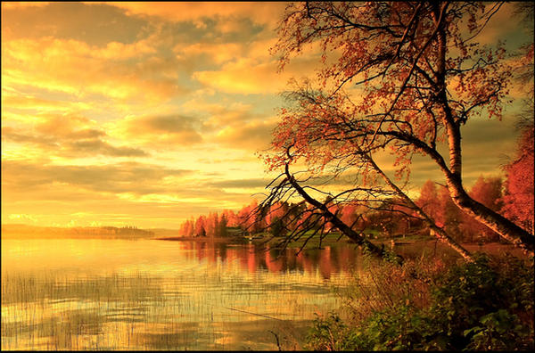 Fall.. V