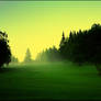 Foggy green light..