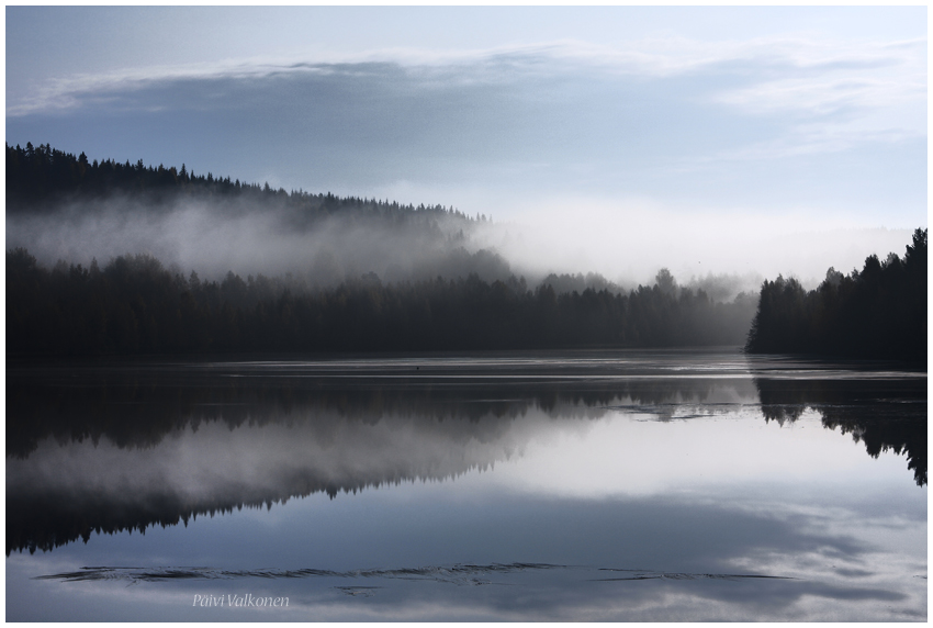 Foggy Morning