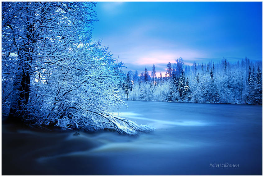 В пелене января. Красивая зима. Зимние картинки. Красивые пейзажи зимы. Зимний пейзаж синий.