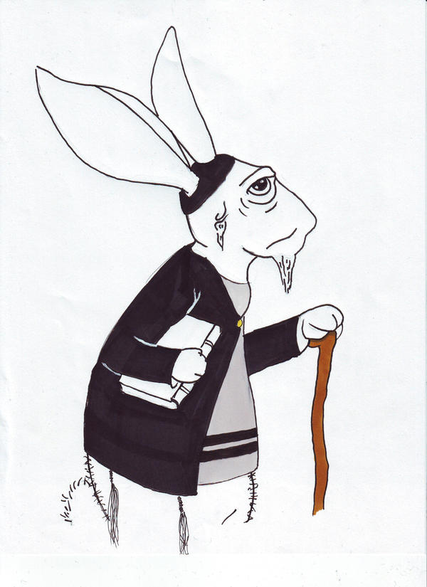 rabbi rabbit by rabbisanta on DeviantArt