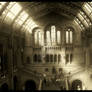 Natural History Museum Two