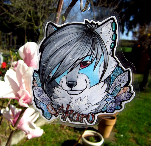 C: Badge Commission Akaro