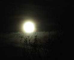 Winter Moon - Large