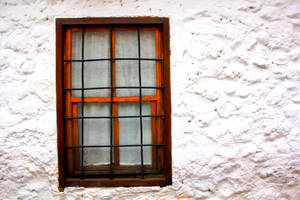 the window