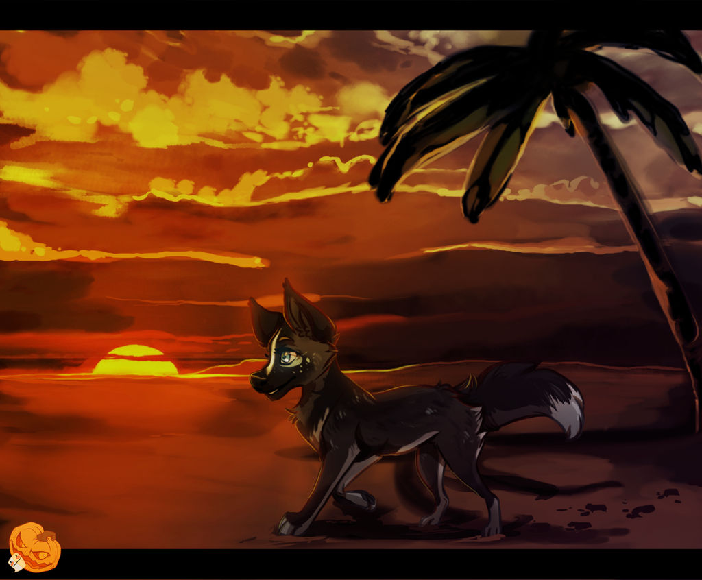 .: YCH - Sunset :.