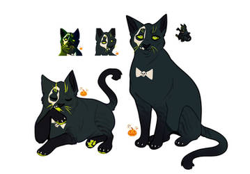 .: Adopt - Black Cat :.