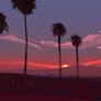 Sunset palms