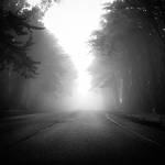 mist 53 by Hengki24