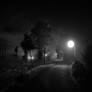 Round Midnight