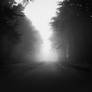 Path