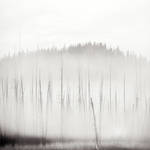 Sticks by Hengki24