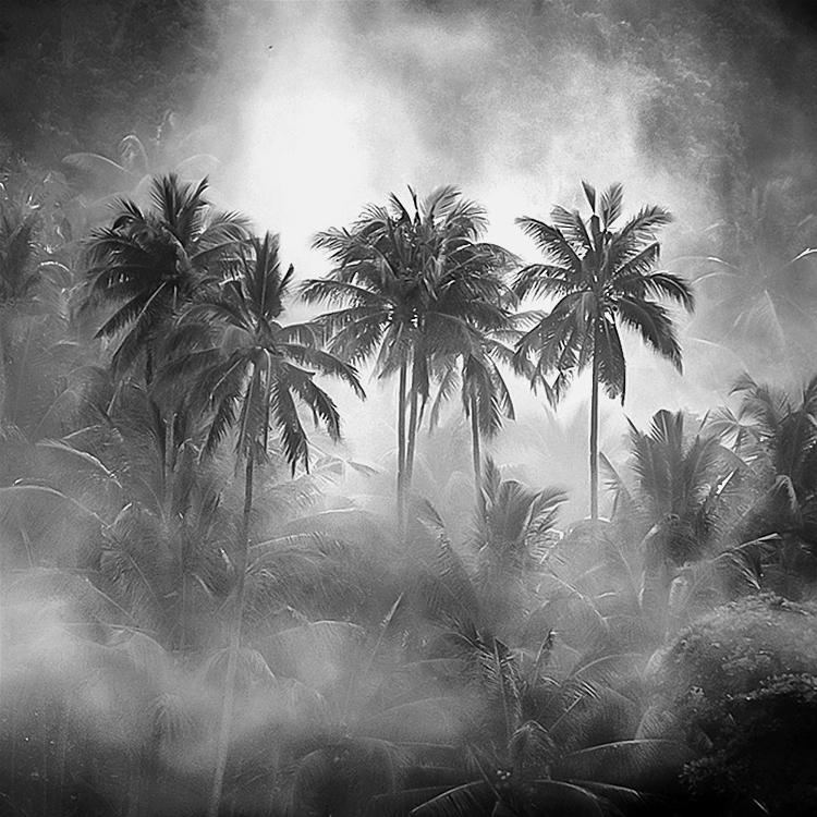 Colmi Mist Coco Mist by Hengki24 on DeviantArt