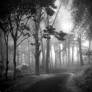 Deep Forest