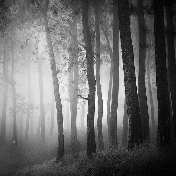 Mist by Hengki24