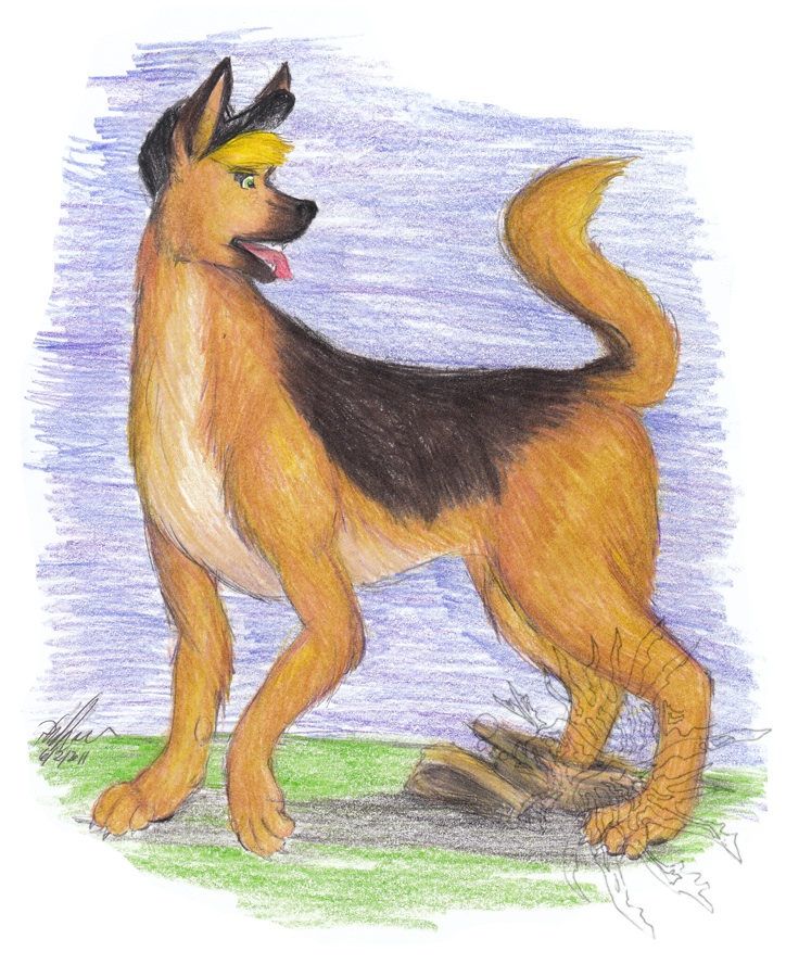 Ryanr German Shepherd Tf 5