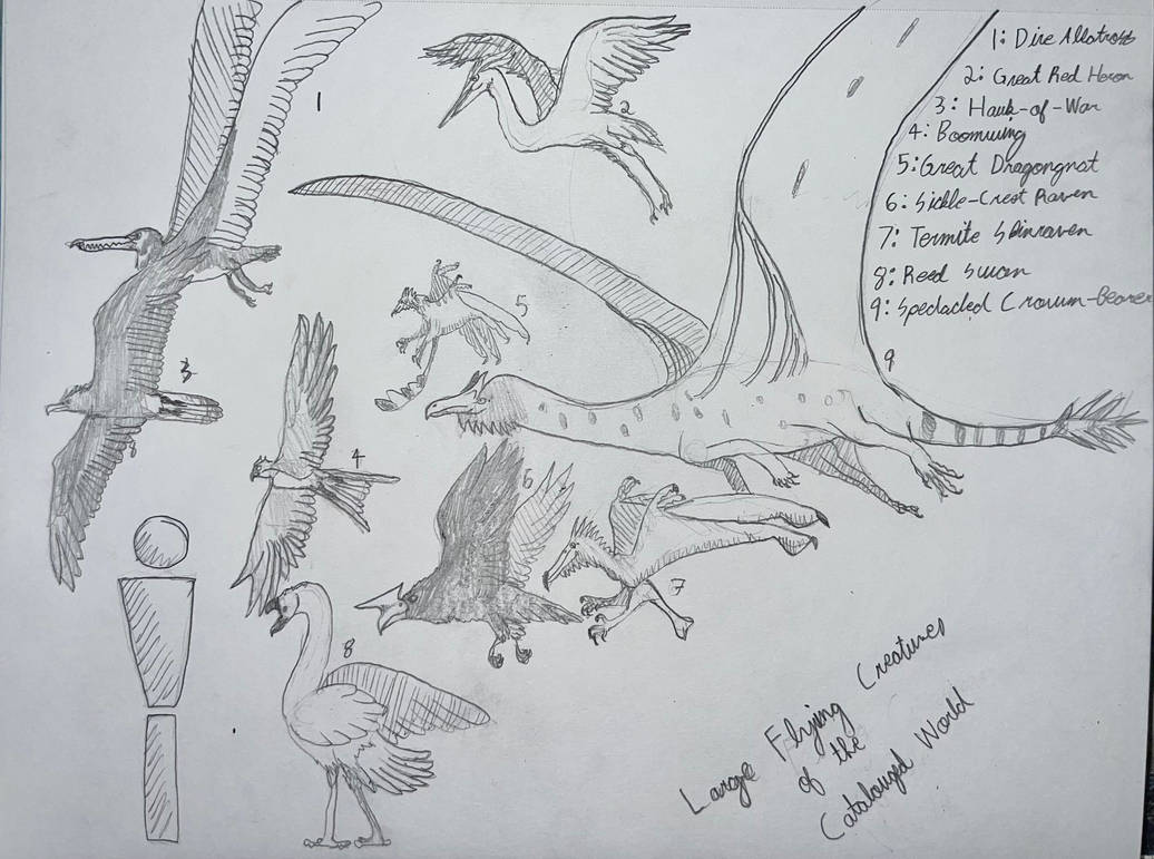 Draw Flying Creature Large Flying Creatures of the Catalogued World by TheAntiAzdarcho on ...