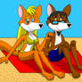 Foxes On The Beach