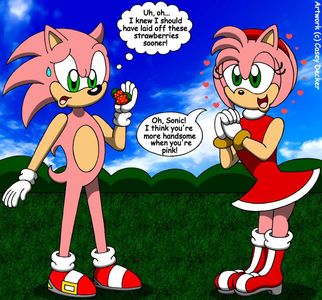 Amy And The Pink Sonic by CoolCSD1986 on DeviantArt