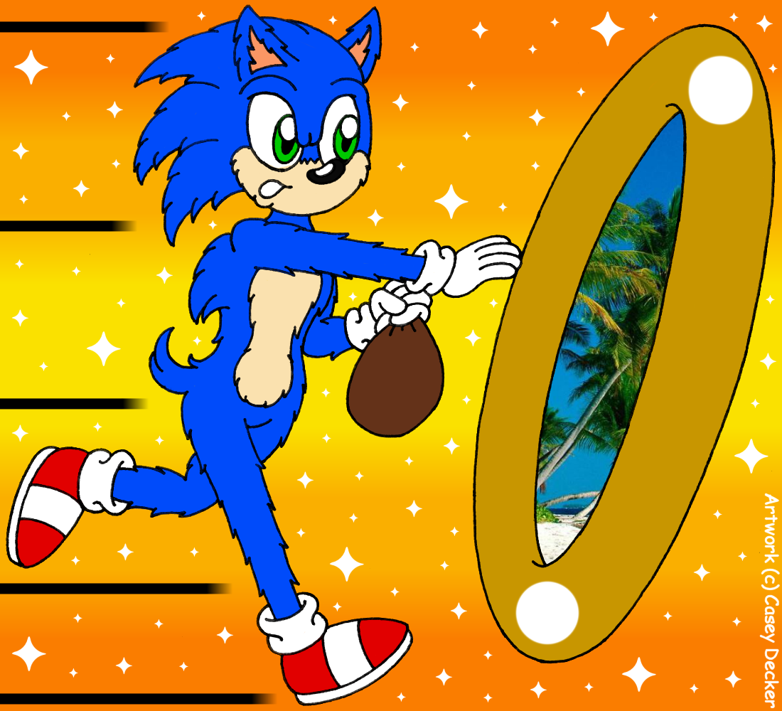 Sonic And His Bag Of Rings by CoolCSD1986 on DeviantArt