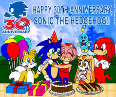 Sonic's 30th Birthday Celebration