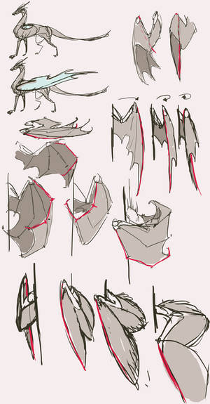 (folded)Wings reference part2