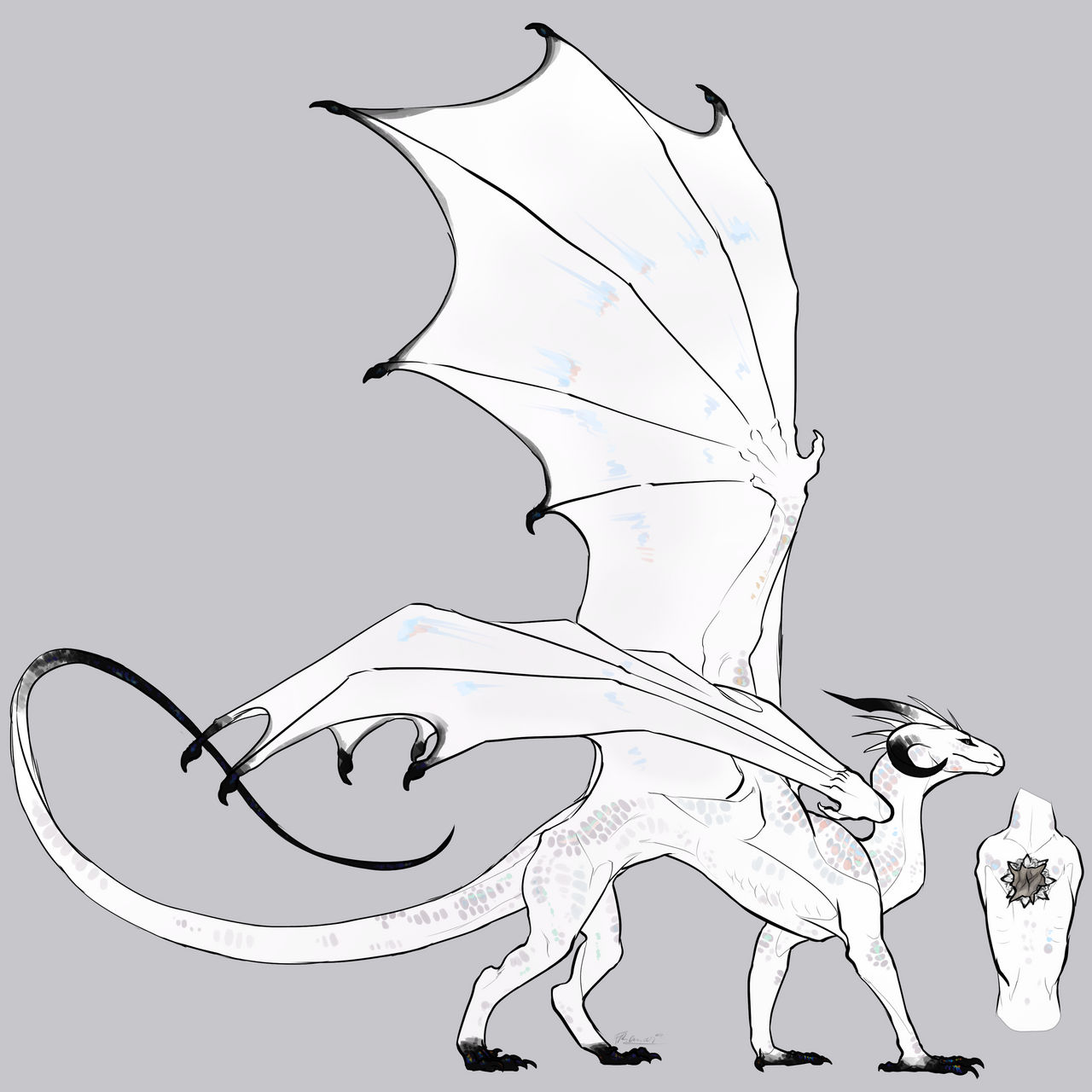 Design Commission:.dragon tomo