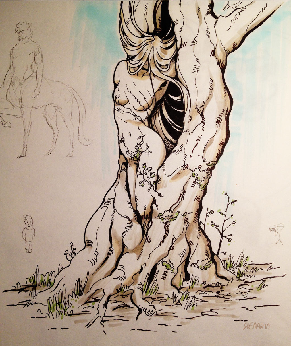 Dryad