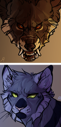 Headshot batch.10