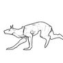 Run-cycle.2 (dog)
