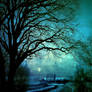 Tranquil - Tranquil Night