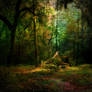 Forest Den