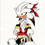 Revamped Shale The Hedgehog